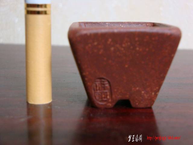 DSC05507.JPG