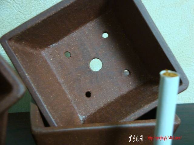 DSC05504.JPG