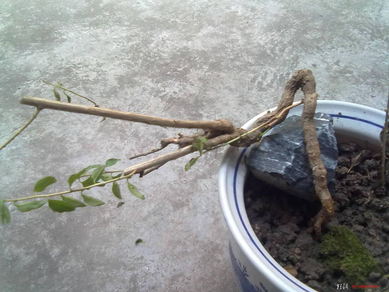 20110730448.jpg