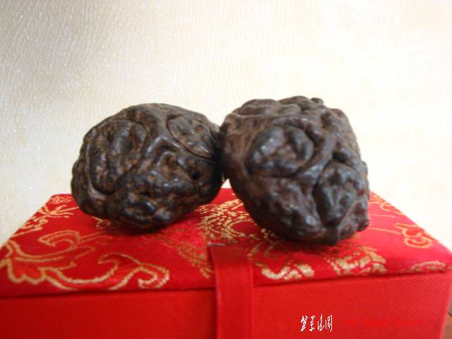 DSC05518.JPG