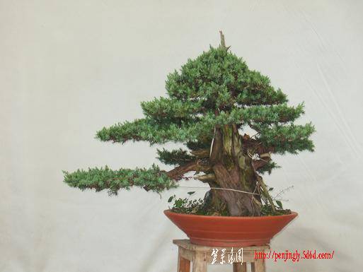 DSCF5979.JPG