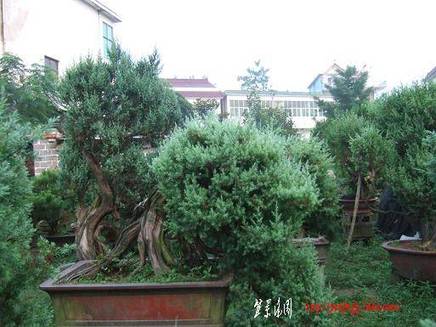 DSCF5944.JPG