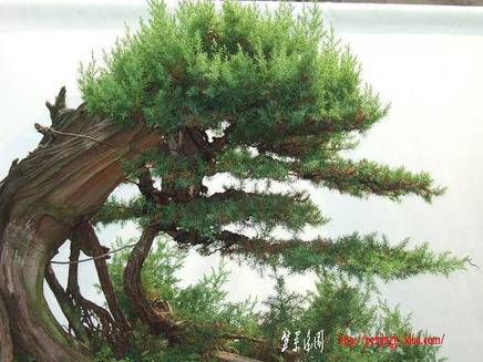 DSCF5965.JPG