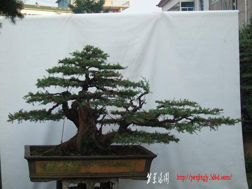 DSCF5971.JPG