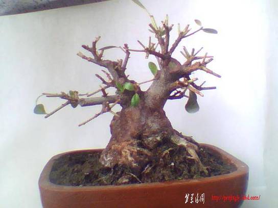 ͼƬ 015.jpg