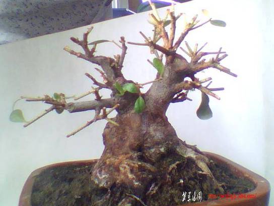 ͼƬ 016.jpg