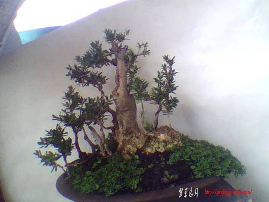 ͼƬ 017.jpg