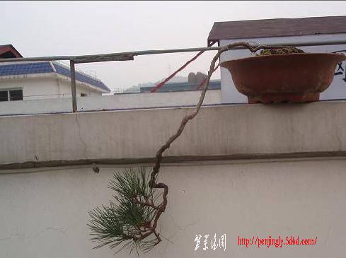 ͼƬ 019.jpg