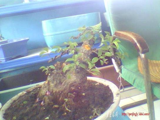 ͼƬ 022.jpg
