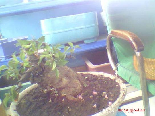 ͼƬ 021.jpg