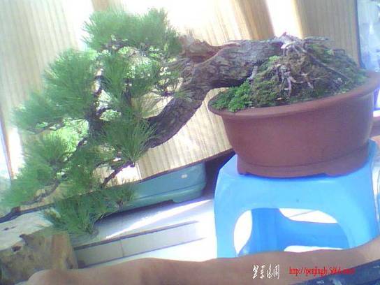 ͼƬ 024.jpg