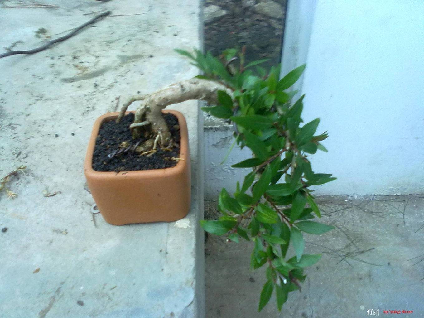 20110802579.jpg