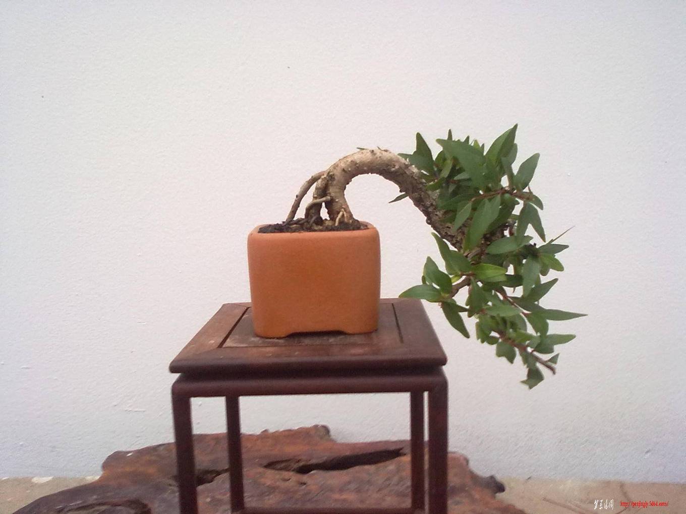 20110802580.jpg