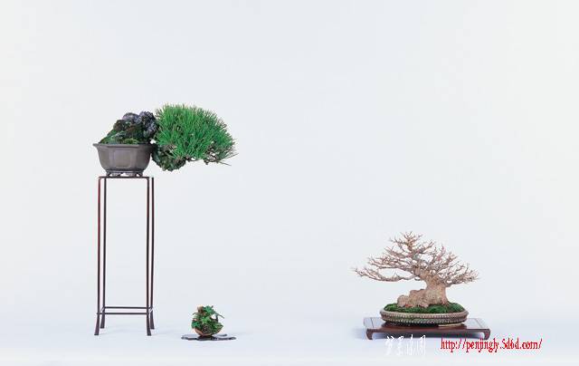 p103.jpg