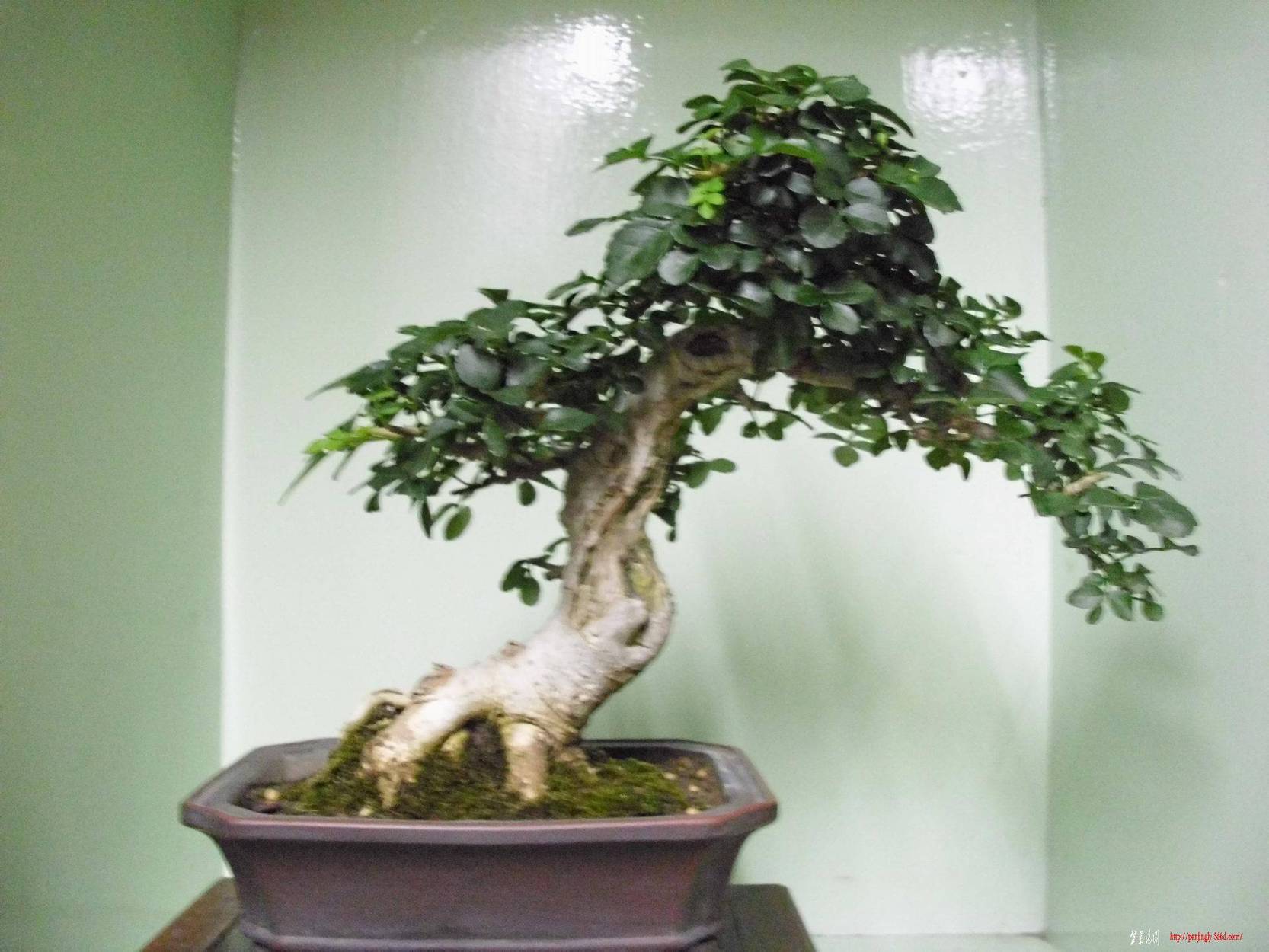 DSCI0798.JPG