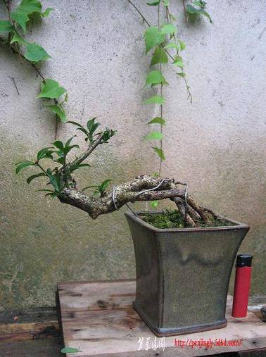 Ƭ 093.jpg