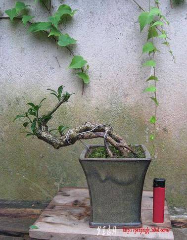 Ƭ 092.jpg