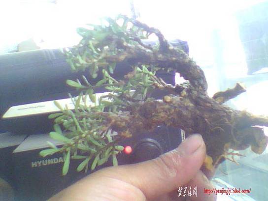 ͼƬ 030.jpg