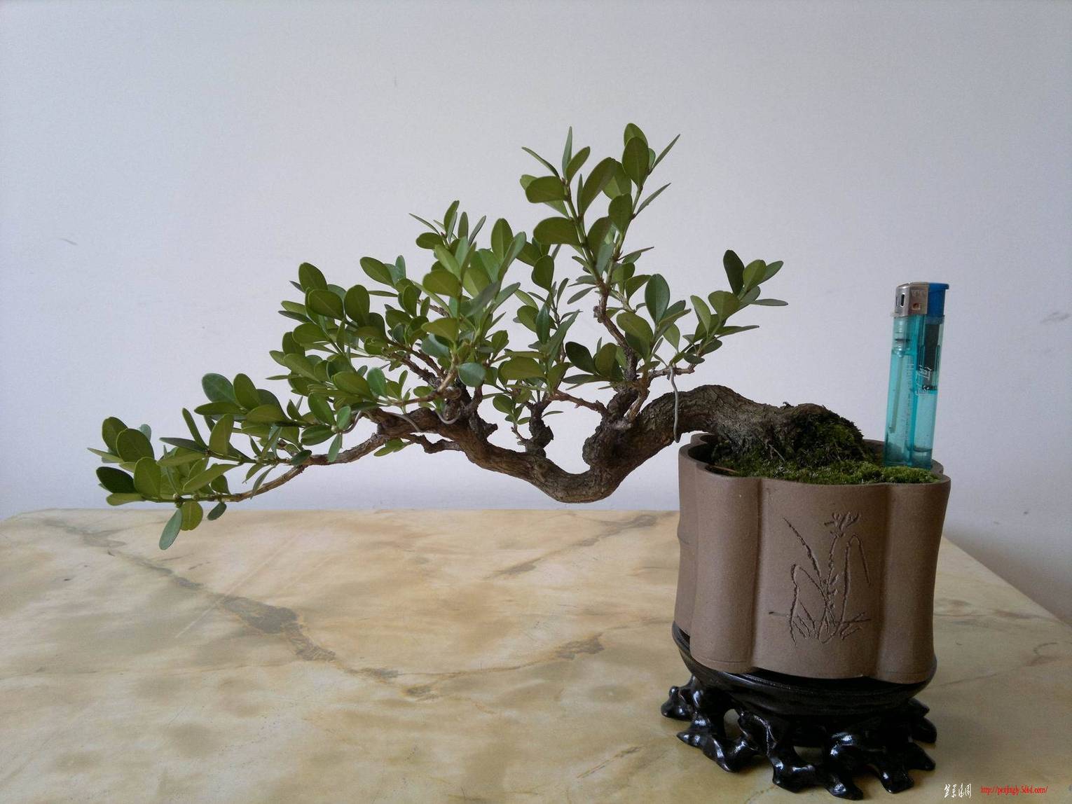 20110807264.jpg