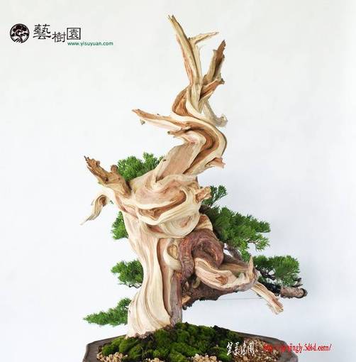 b64854359-ac-8127xf4x0590x0600-m.jpg