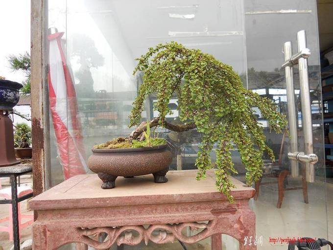 DSCN0174.jpg