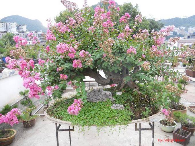 DSCN0238.jpg