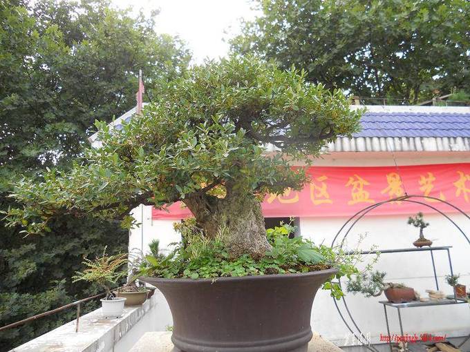 DSCN0191.jpg