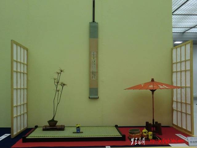 CIMG2687.jpg