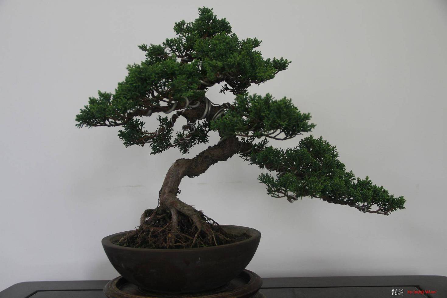 ԭ����� 001.jpg