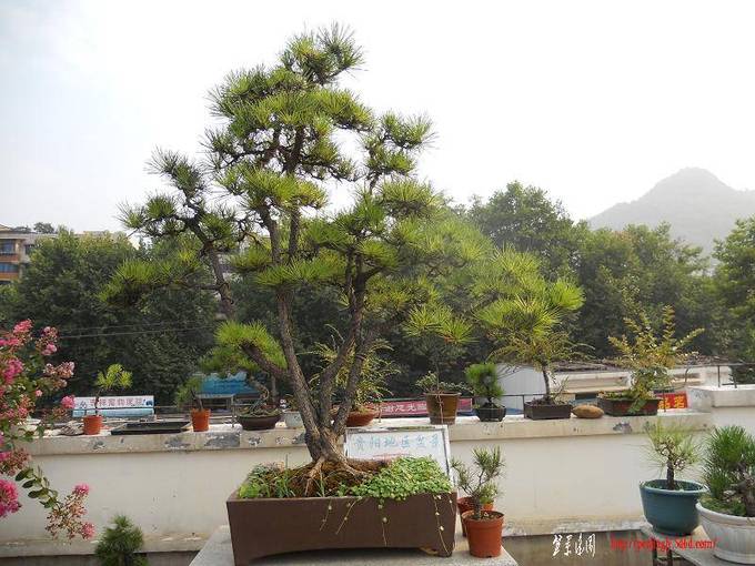 DSCN0122.jpg