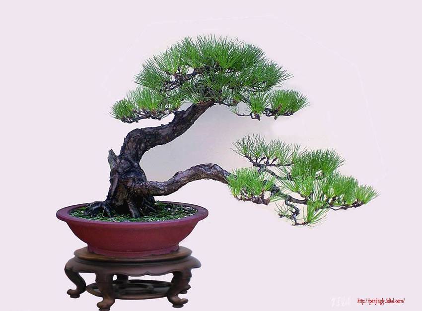 DSCN3427.jpg ����.jpg--1.jpg-2.jpg