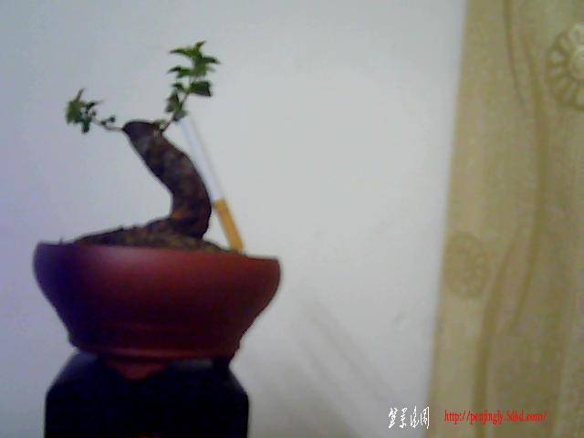 ͼƬ 001.jpg