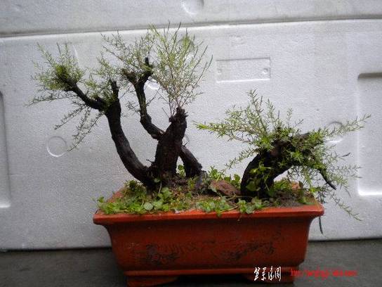 DSCN6908.JPG