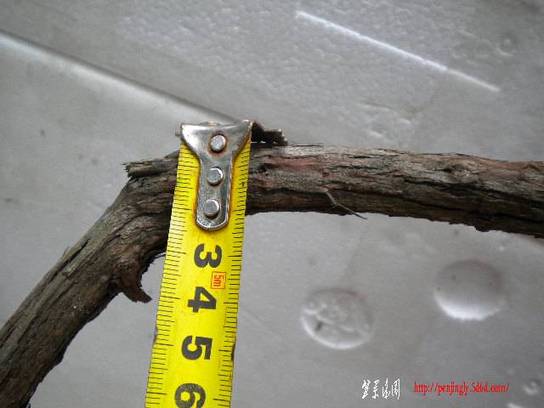 DSCN6851.JPG
