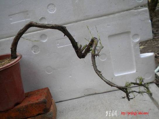 DSCN6856.JPG