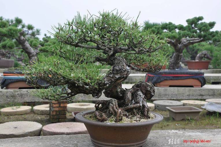 Ƭ 058.jpg