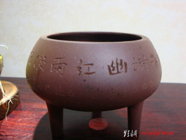DSC05645.JPG