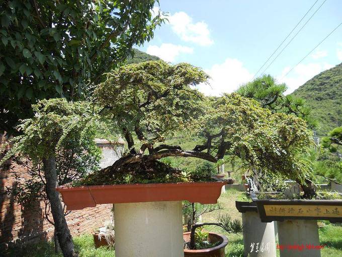 DSCN0351.jpg