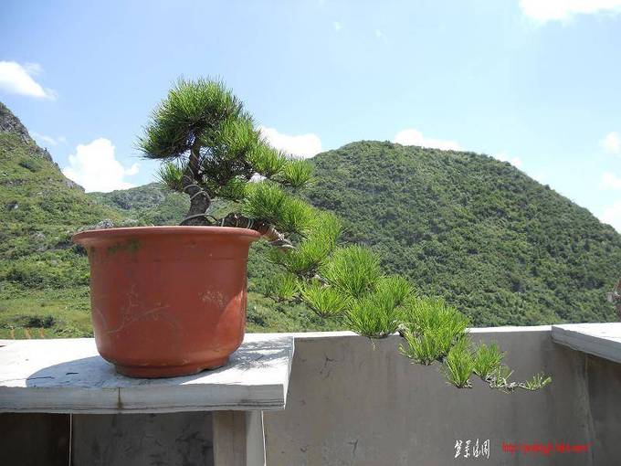 DSCN0315.jpg
