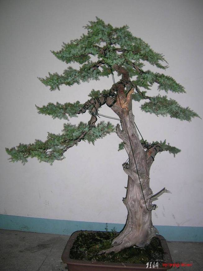 С ת DSCN8852.JPG
