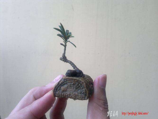 20110822123.jpg