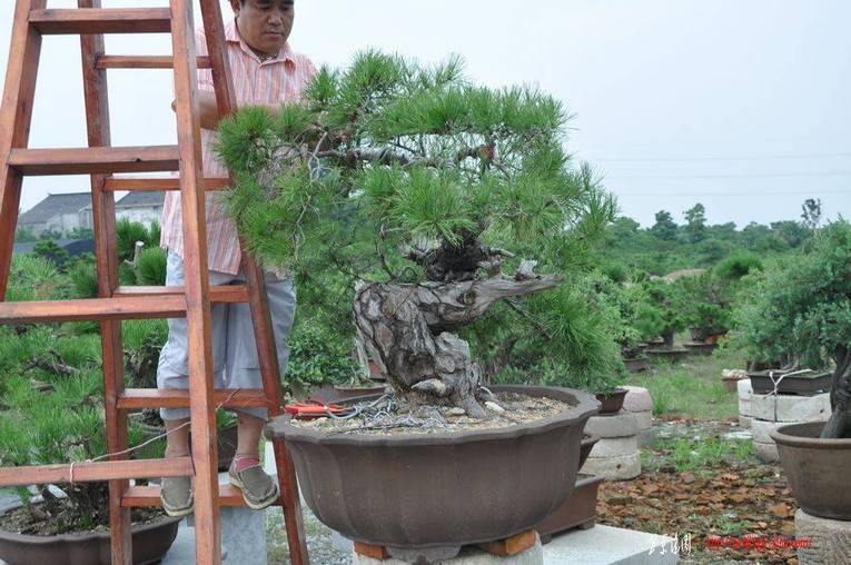 Ƭ 081.jpg