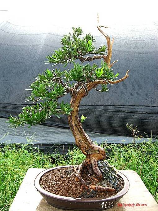 �����辰 029_����_��ת_����.jpg