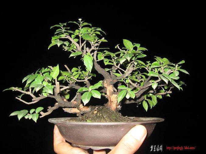 Ƭ0722 025.jpg