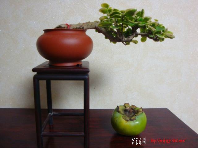 DSC05774.JPG