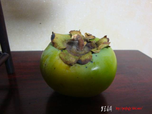 DSC05776.JPG