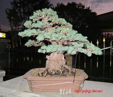 OZC2~RC0PG93RU%`@75[IMG.jpg