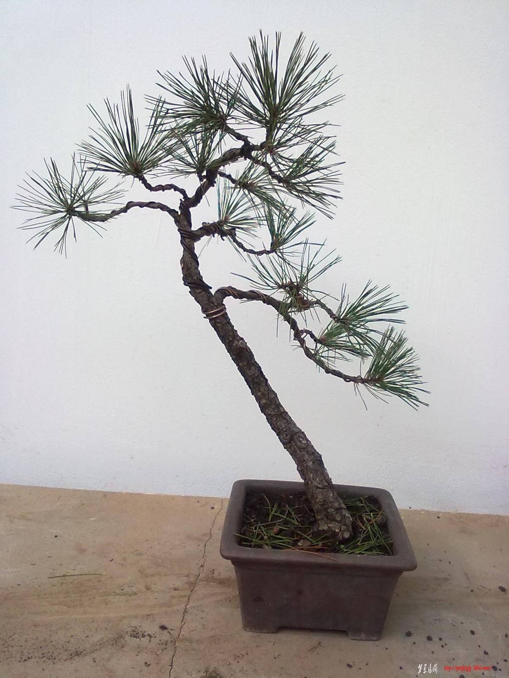 20110831694.jpg