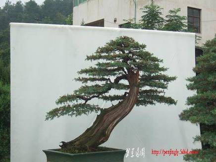 DSCF5958.JPG