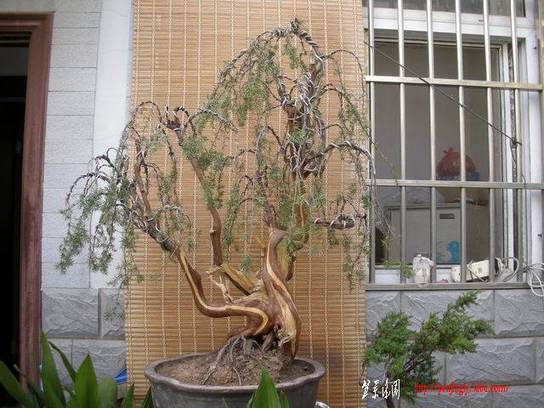 С DSCN1855.jpg